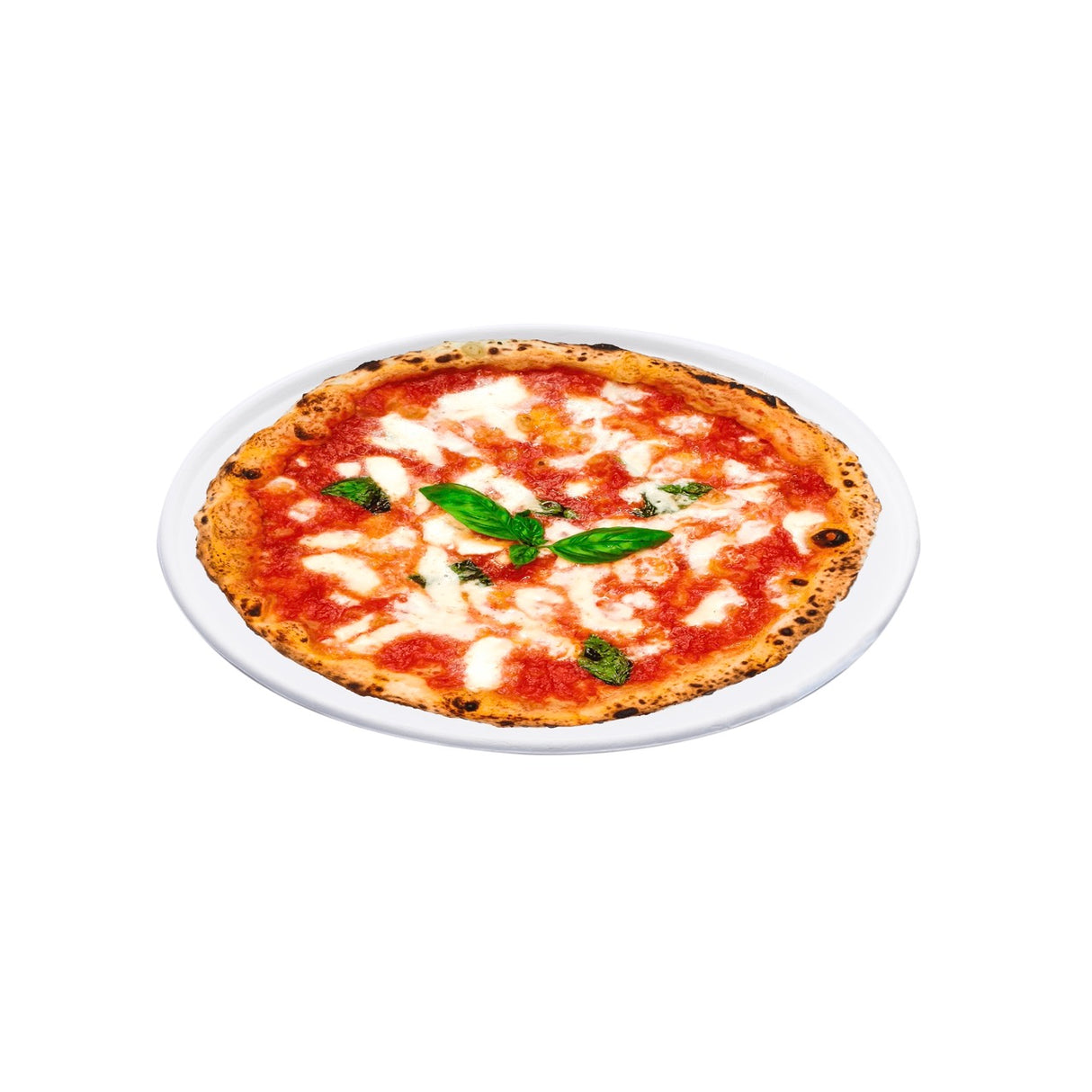 Piatto Pizza in polpa di cellulosa
