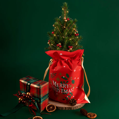 Portapanettone TNT Stampa Merry Christmas