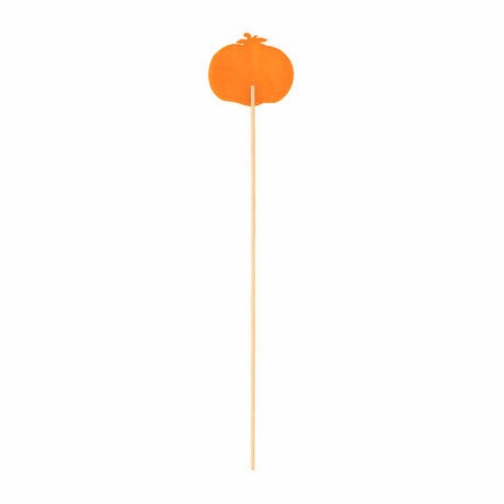 PICK PANNO SET DA 12 ZUCCA