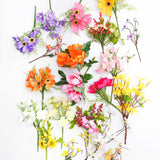 Pick Azalea