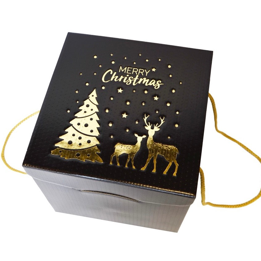Scatola Scrigno Natalizia con Cordini Merry Christmas stampa oro