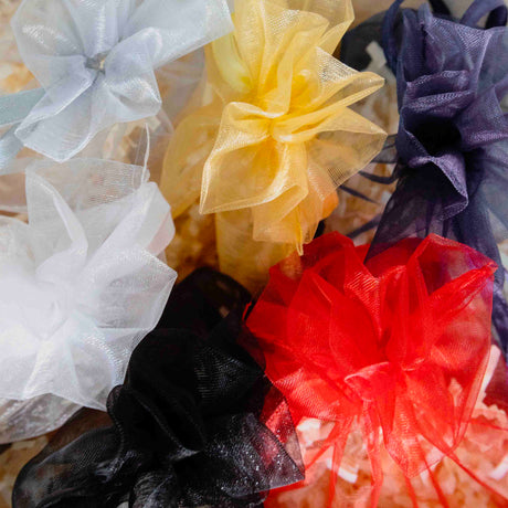 Sacchetti Organza Colorati con Laccio