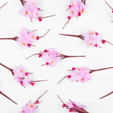 Pick Fiori di Pesco