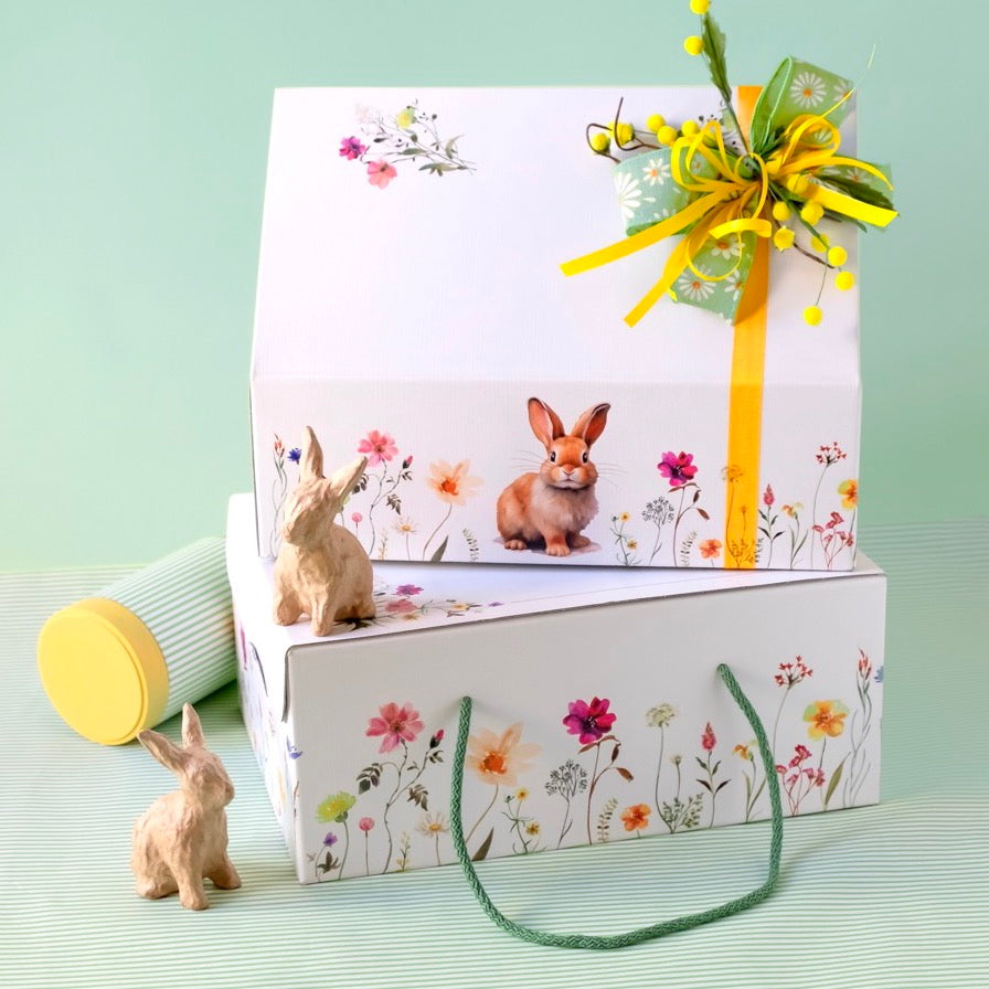 Scatole Baulotto Cartone Fantasia Rabbit