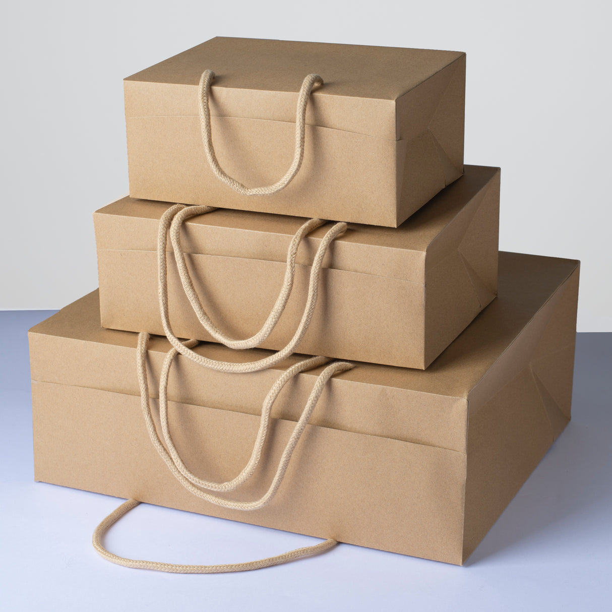 Bag Box Kraft per Confezioni Avana