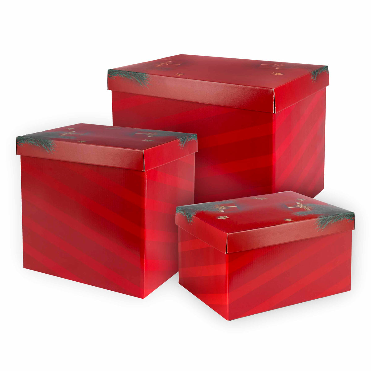 Scatola Regalo con Coperchio Holly Spirit