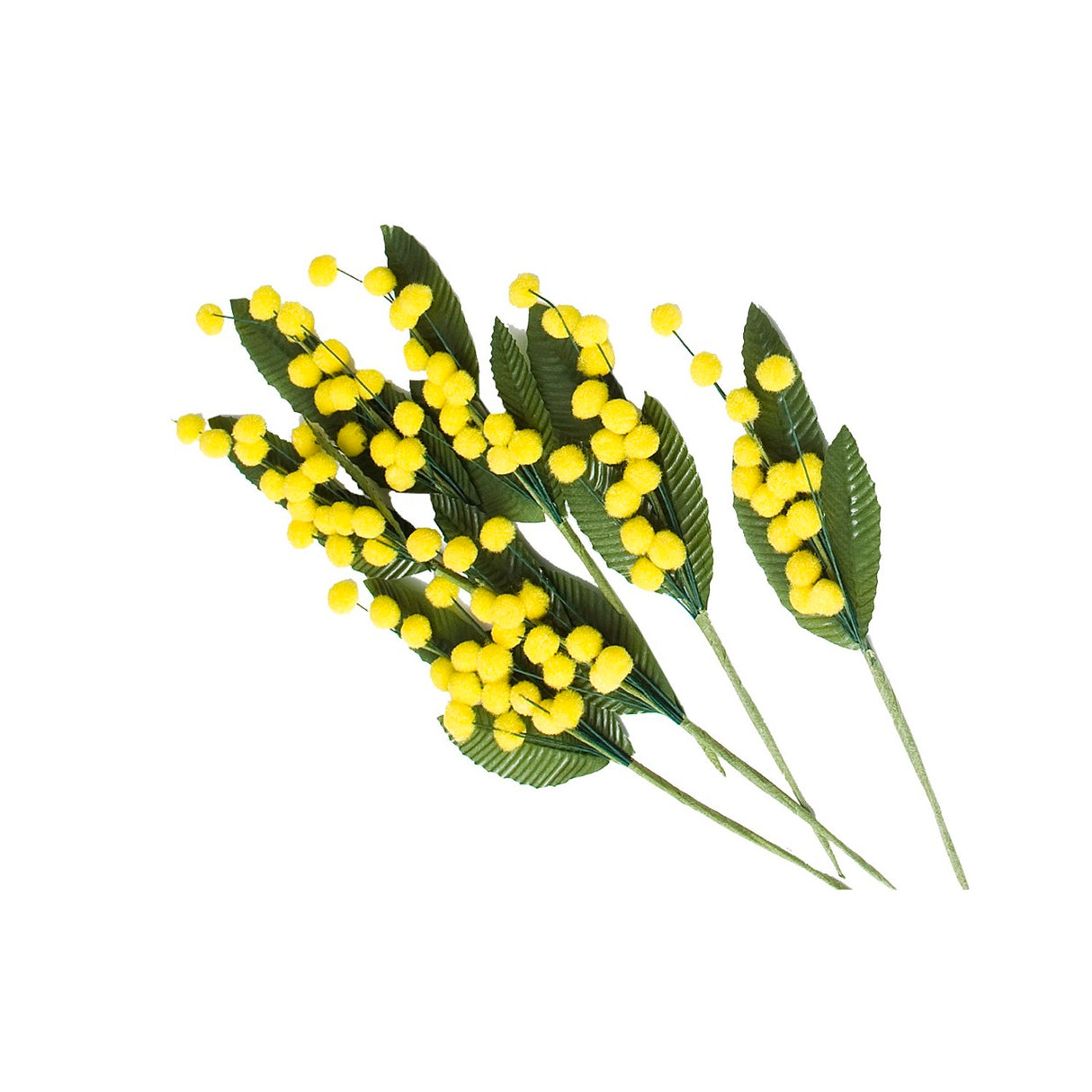 Pick Mimosa