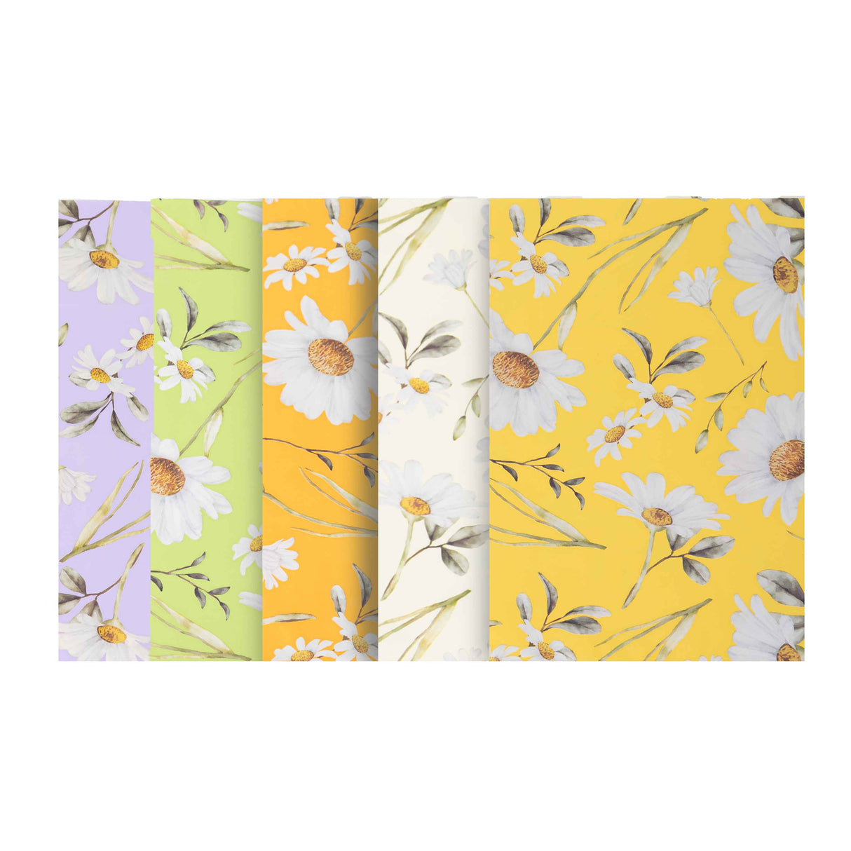 Buste Regalo Margherite Mix