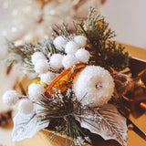Pick Bacche e Mela innevata