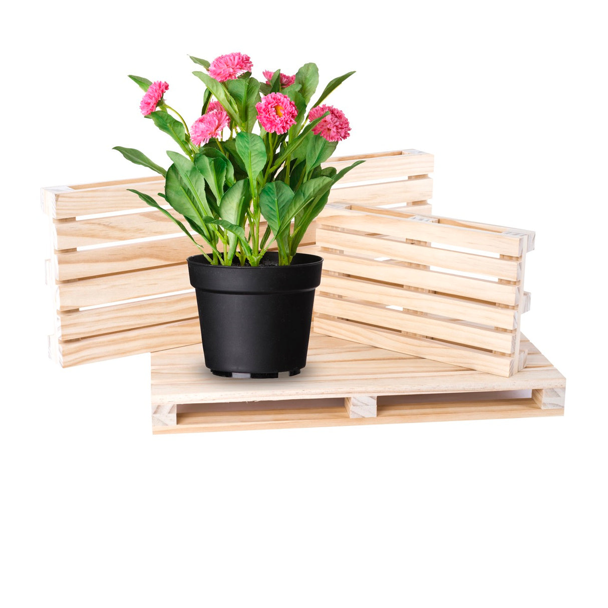 Mini Pallet in Legno per Aperitivi