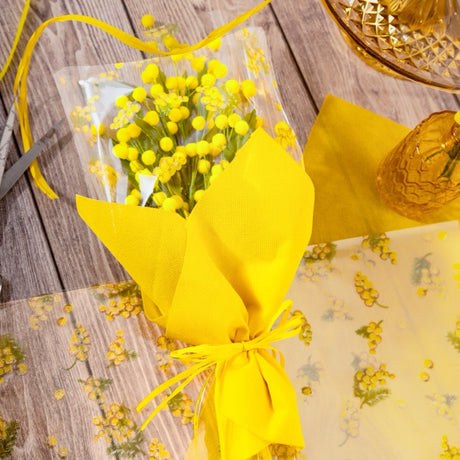 Maniche per Mimosa Trasparenti con Stampa