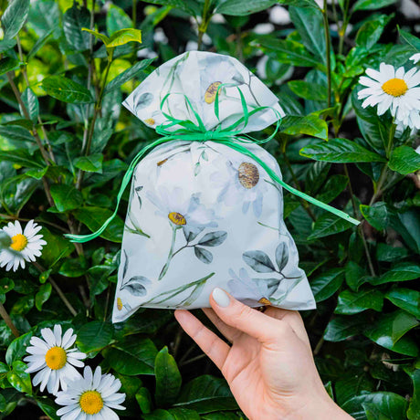 Buste Regalo Margherite Mix