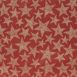 Buste Regalo Mille Stelle Carta PE Impermeabile Mix