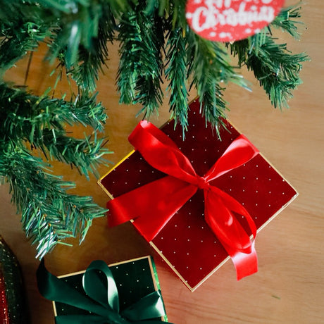 Set 2 Scatole Elegance di Velluto con Fiocco