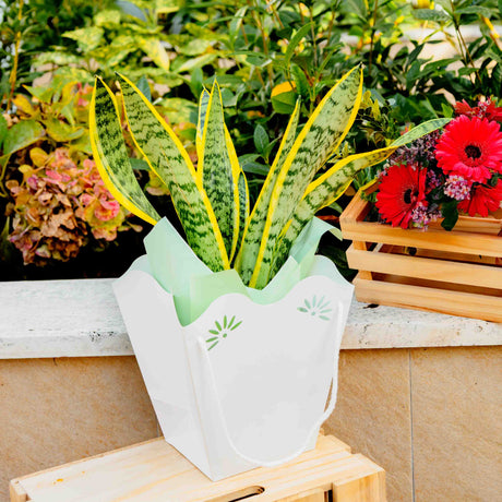 Shopper per piante 210gr con interno PE