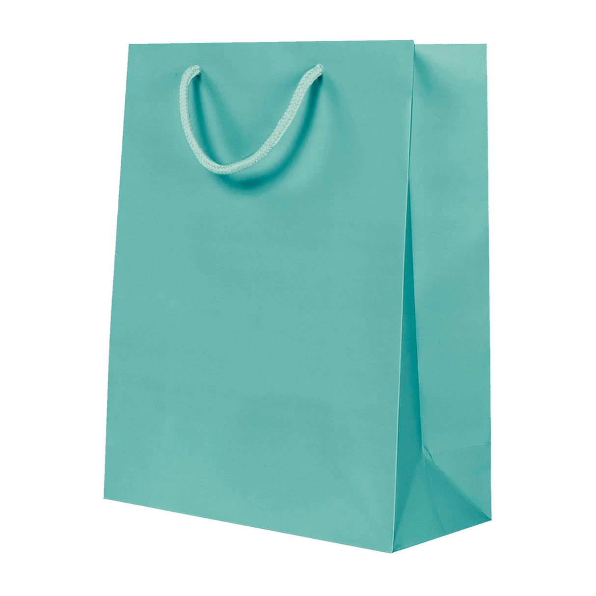 Sac de luxe mat en papier