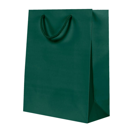 Sac de luxe mat en papier