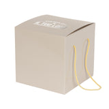 Boîte à panettone haute brillante 1 kg personnalisable