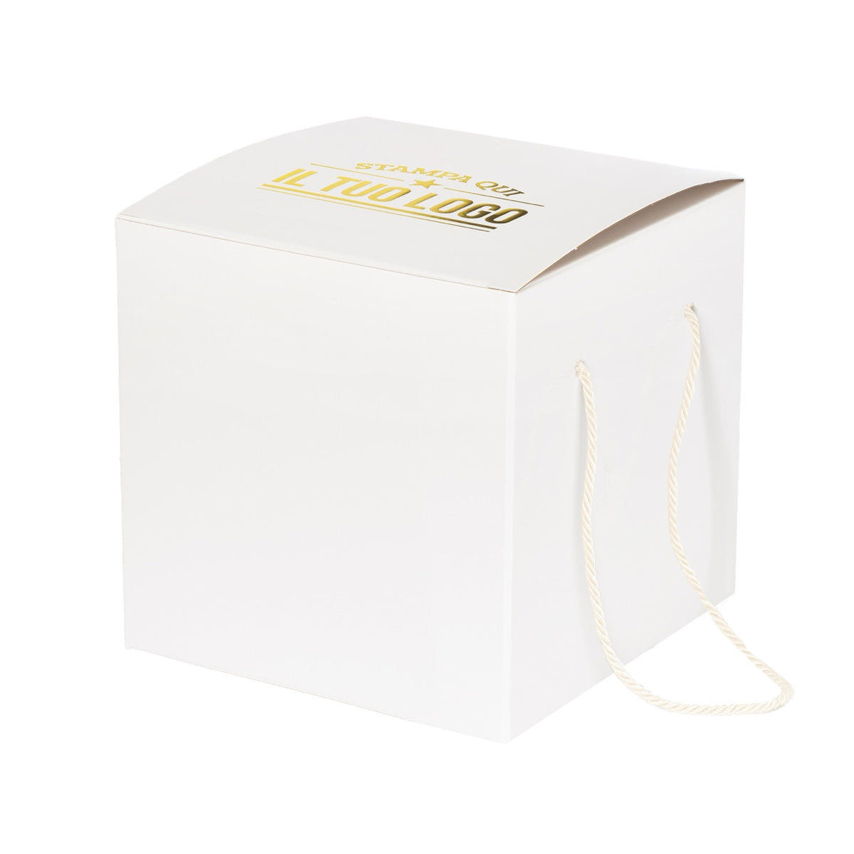 Boîte à panettone haute brillante 1 kg personnalisable