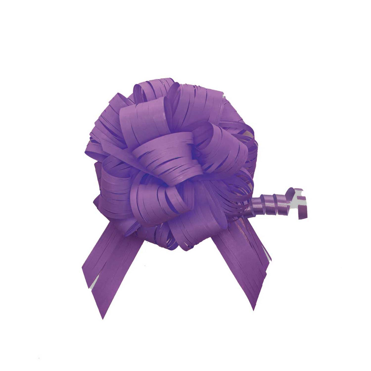 Coccarda Raphia Pull Bow