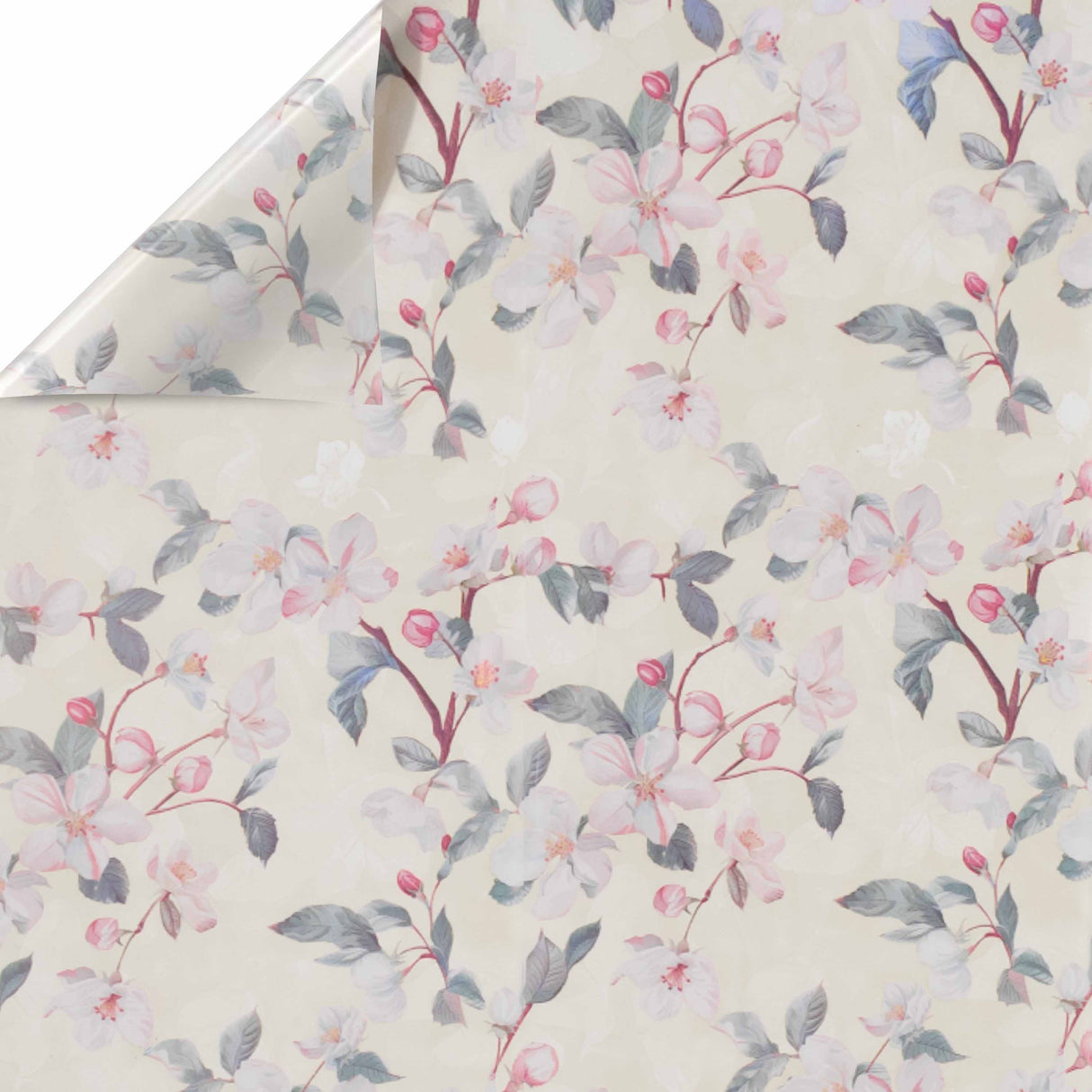 Fogli Polipropilene Cherry cm 100x100