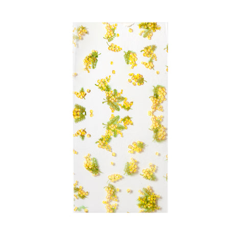 Maniche per Mimosa Trasparenti con Stampa