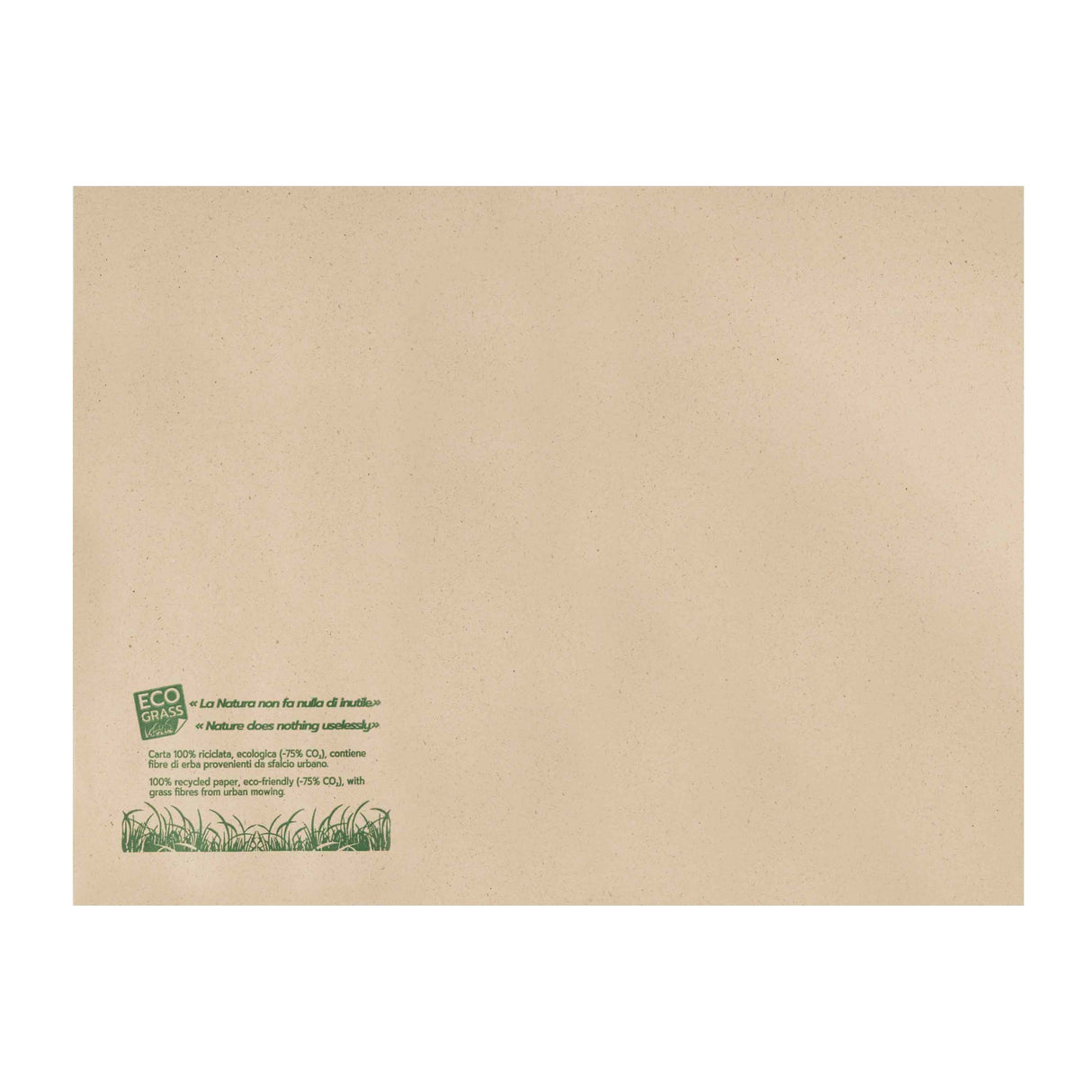 Tovaglietta in Carta Riciclata EcoGrass