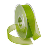Ruban Organza Animé
