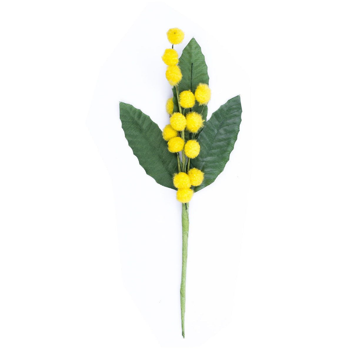 Pick Mimosa