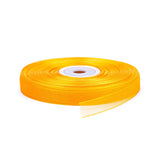Nastro Organza