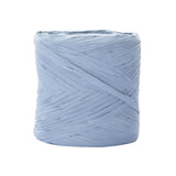 Nastro Polyraphia Vintage Color  Avio