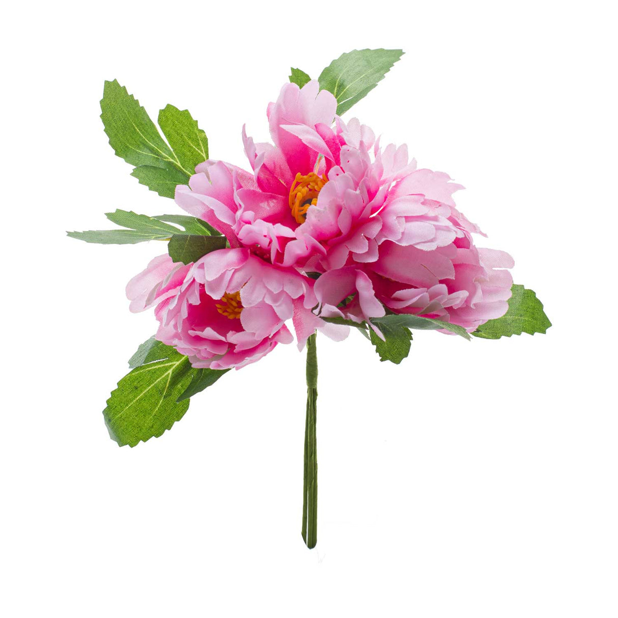 Pick Peonia